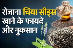 क्या Chia Seeds को खाली पेट खाना आपकी सेहत के लिए है फायदेमंद? जानिए इसके गजब के फायदे
